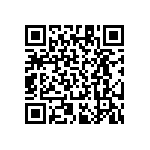 RT1206DRD073K01L QRCode