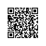 RT1206DRD07402KL QRCode