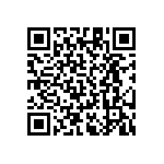 RT1206DRD07604RL QRCode