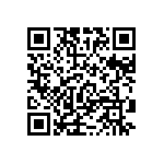 RT1206DRD07620RL QRCode