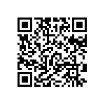 RT1206DRD07909RL QRCode