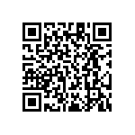 RT1206DRD0795K3L QRCode