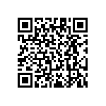 RT1206DRD0795R3L QRCode