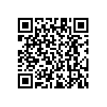 RT1206DRE07107KL QRCode