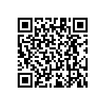 RT1206DRE0719R1L QRCode