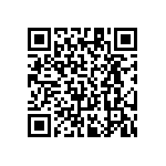 RT1206DRE0724R6L QRCode