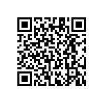 RT1206DRE0743K2L QRCode