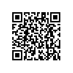 RT1206DRE07493RL QRCode