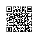 RT1206DRE07909RL QRCode