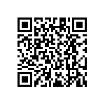 RT1206DRE07953KL QRCode