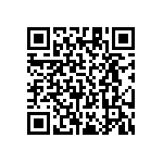 RT1206DRE0797K6L QRCode