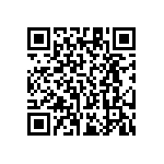 RT1206FRE0713K3L QRCode