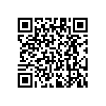 RT1206FRE0729K4L QRCode