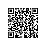 RT1206FRE0739K2L QRCode