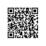 RT1206FRE076K04L QRCode