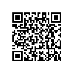 RT1206WRB0717R8L QRCode