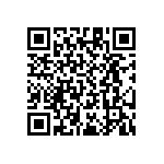 RT1206WRB07953RL QRCode