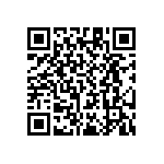 RT1206WRB0795K3L QRCode