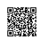 RT1206WRC0713RL QRCode