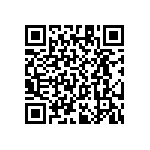 RT1206WRC07287RL QRCode