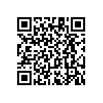 RT1206WRC0751R1L QRCode