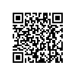 RT1206WRC07866RL QRCode