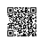 RT1206WRC0788R7L QRCode