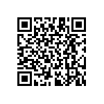 RT1210BRD07383KL QRCode