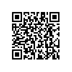 RT1210WRB0713K3L QRCode