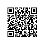 RT1210WRB078K45L QRCode