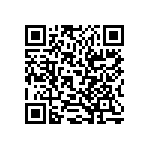 RT2010BKD073K3L QRCode