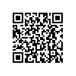 RT2010FKE0743R2L QRCode