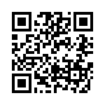 RT22C2P502 QRCode