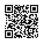 RT22C2X502 QRCode