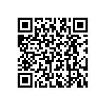 RT2512CKB0740K2L QRCode