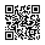 RT334005F QRCode