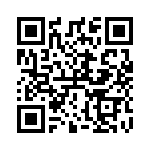 RT8121GQW QRCode