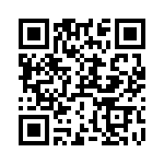 RT9013-12GB QRCode