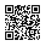 RT9013-23GB QRCode