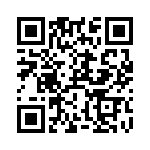 RT9067-33GB QRCode