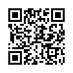 RT9073-33GB QRCode