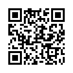 RT9076-33GV QRCode