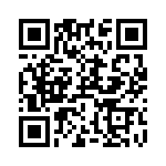 RT9086-12GB QRCode