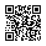 RT9198-32GBR QRCode