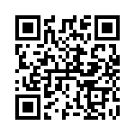 RT9532GQW QRCode