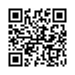 RT9595GQW QRCode