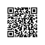 RWR81N13R3FRB12 QRCode