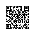 RWR81S5R00FSB12 QRCode