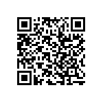 RWR89SR300FSBSL QRCode