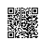 SIT1602BC-31-28E-33-333300Y QRCode